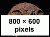 800 x 600