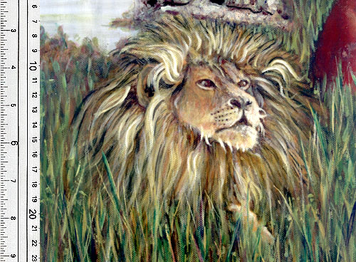 The Lion