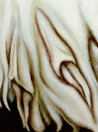 The White Vulvae - Zoom #1 (Left Side)
